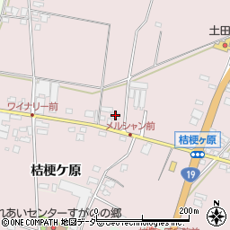 長野県塩尻市桔梗ケ原1298周辺の地図