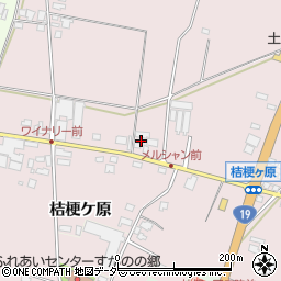 長野県塩尻市桔梗ケ原1298-256周辺の地図