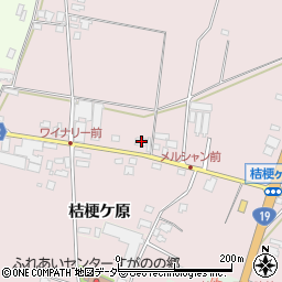 長野県塩尻市桔梗ケ原1298-250周辺の地図
