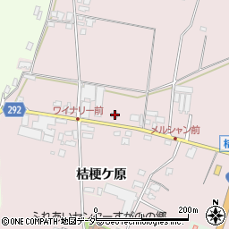 長野県塩尻市桔梗ケ原1298-554周辺の地図