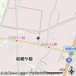 長野県塩尻市桔梗ケ原1298-229周辺の地図