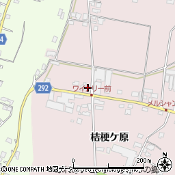 長野県塩尻市桔梗ケ原1298-172周辺の地図