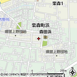 福井県福井市上野本町新807周辺の地図