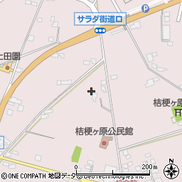長野県塩尻市桔梗ケ原1299-233周辺の地図