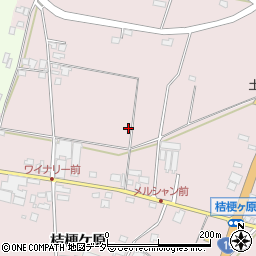 長野県塩尻市桔梗ケ原1298-47周辺の地図