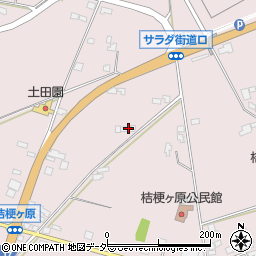 長野県塩尻市桔梗ケ原1299-24周辺の地図