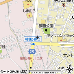 奈良井川漁業協同組合周辺の地図