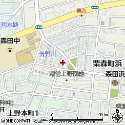 福井県福井市上野本町新215周辺の地図