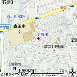 福井県福井市上野本町新113周辺の地図