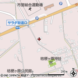長野県塩尻市桔梗ケ原73-412周辺の地図