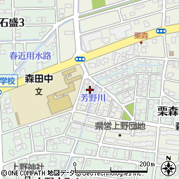 福井県福井市上野本町新116周辺の地図
