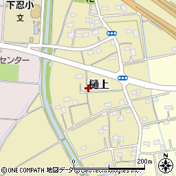 埼玉県行田市樋上周辺の地図