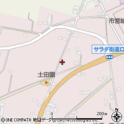 長野県塩尻市桔梗ケ原1299周辺の地図
