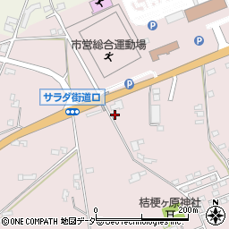 長野県塩尻市桔梗ケ原73-246周辺の地図