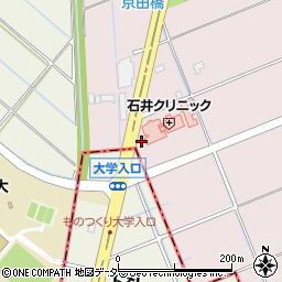 埼玉県行田市下忍1091周辺の地図