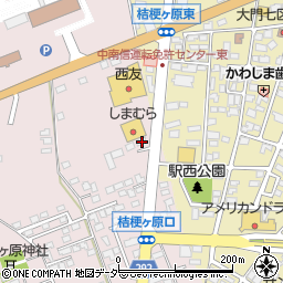 長野県塩尻市桔梗ケ原73-299周辺の地図