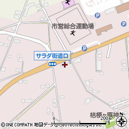 長野県塩尻市桔梗ケ原73-242周辺の地図