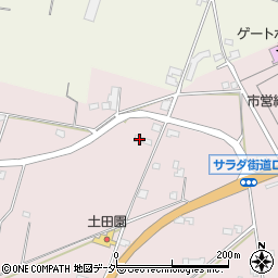 長野県塩尻市桔梗ケ原1299-29周辺の地図