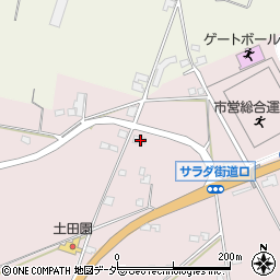 長野県塩尻市桔梗ケ原1299-253周辺の地図