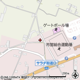 長野県塩尻市桔梗ケ原1299-291周辺の地図