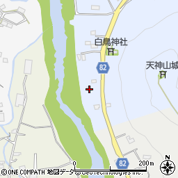 埼玉県秩父郡長瀞町岩田20周辺の地図