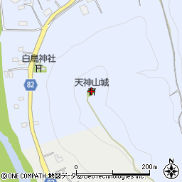 埼玉県秩父郡長瀞町岩田1872周辺の地図