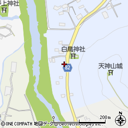 埼玉県秩父郡長瀞町岩田28周辺の地図