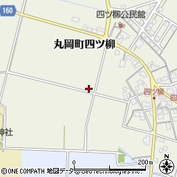 福井県坂井市丸岡町四ツ柳周辺の地図