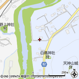 埼玉県秩父郡長瀞町岩田45周辺の地図