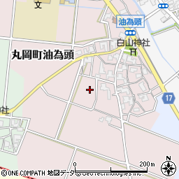 福井県坂井市丸岡町油為頭周辺の地図