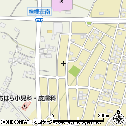 長野県塩尻市大門1563周辺の地図