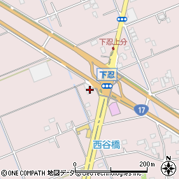 埼玉県行田市下忍498-1周辺の地図
