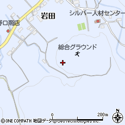 埼玉県秩父郡長瀞町岩田1742周辺の地図