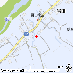 埼玉県秩父郡長瀞町岩田198周辺の地図