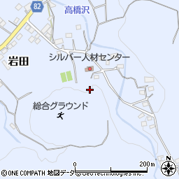 埼玉県秩父郡長瀞町岩田1714周辺の地図
