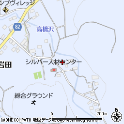 埼玉県秩父郡長瀞町岩田354周辺の地図