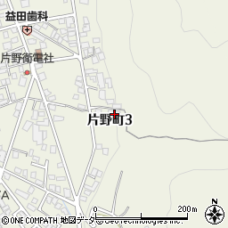 岐阜県高山市片野町3丁目314周辺の地図