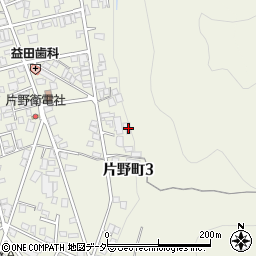 岐阜県高山市片野町3丁目304周辺の地図