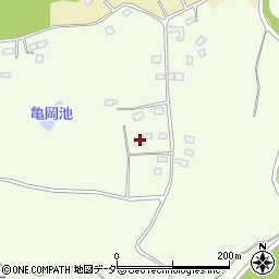 茨城県行方市若海207周辺の地図