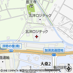 埼玉県加須市北篠崎15周辺の地図