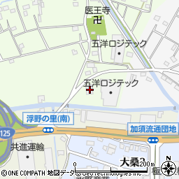 埼玉県加須市北篠崎21周辺の地図