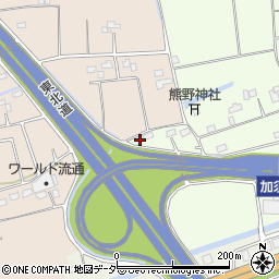 埼玉県加須市北篠崎161周辺の地図