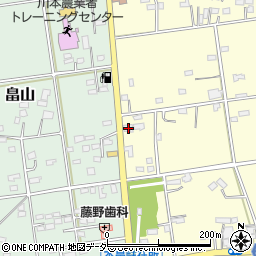 埼玉県深谷市本田117周辺の地図