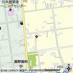 埼玉県深谷市本田124周辺の地図
