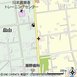 埼玉県深谷市本田113周辺の地図