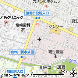 埼玉県加須市向川岸町3-17周辺の地図