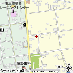 埼玉県深谷市本田119周辺の地図