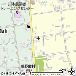 埼玉県深谷市本田118周辺の地図