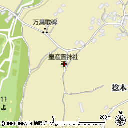 茨城県行方市捻木556周辺の地図