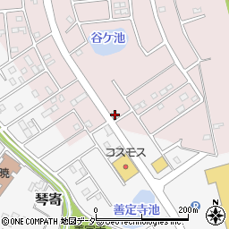 埼玉県加須市北下新井2194-1周辺の地図